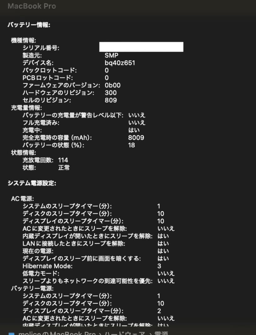 MacBook Pro 2019 i9 1TB 16G　16inch【美品】