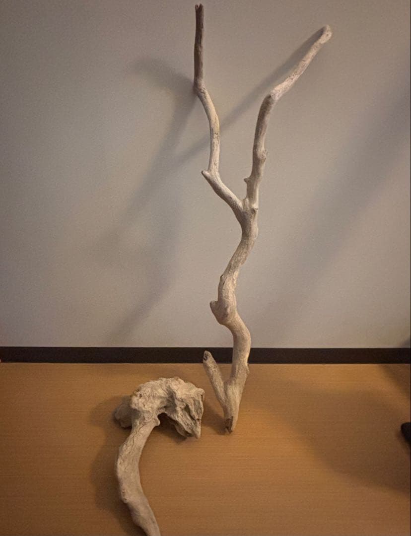一点物 流木オブジェ|爬虫類・魚｜高さ約75cm Y字型｜大型インテリア