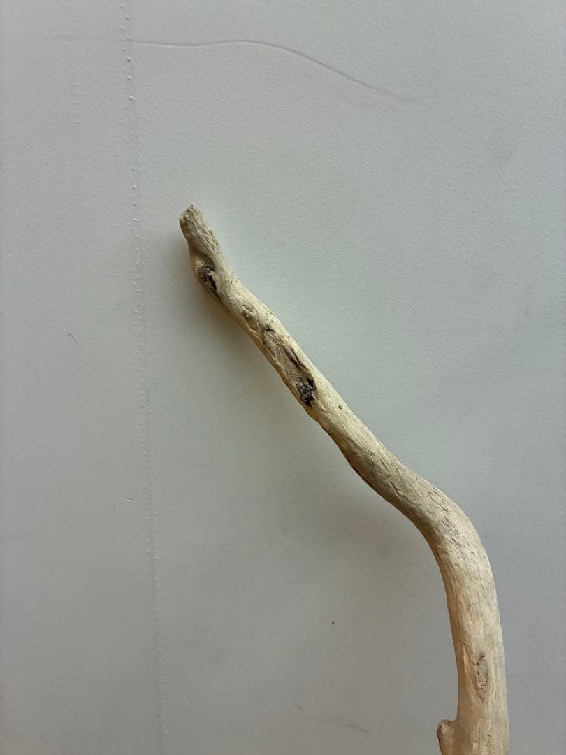 一点物 流木オブジェ|爬虫類・魚｜高さ約75cm Y字型｜大型インテリア