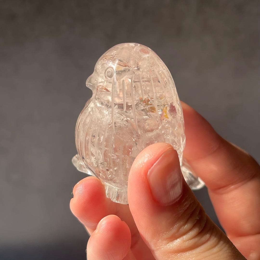 再再販 小鳥シリーズ ライモナイト イン クリアクォーツ