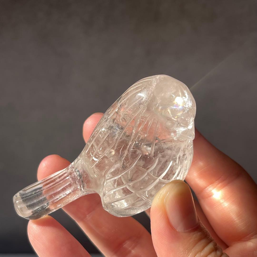 再再販 小鳥シリーズ ライモナイト イン クリアクォーツ