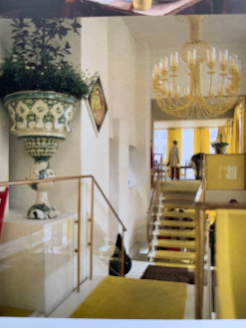 ビヨンヴィンブラッド　レアなビンテージ1989年の手書き一点物の仮面！