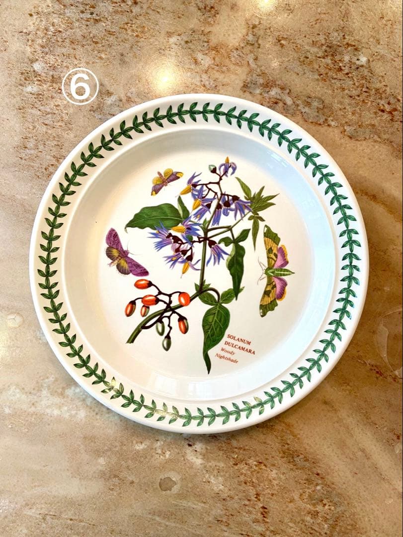 ポートメリオン　ボタニックガーデン　22㌢プレート