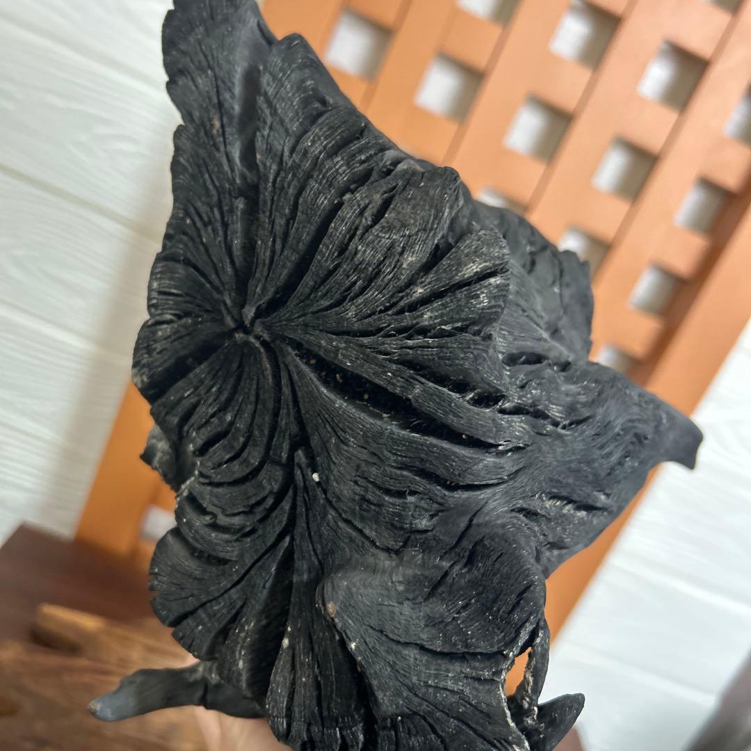 備長炭オブジェ　一点物