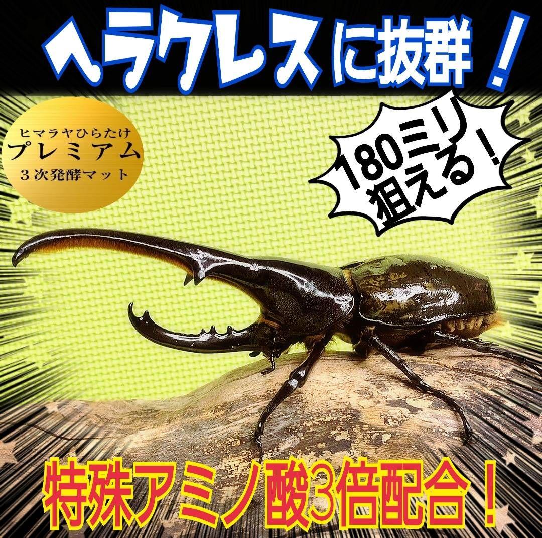 ヘラクレスが巨大化！極上☆プレミアム3次発酵マット【50L】特殊アミノ酸強化配合