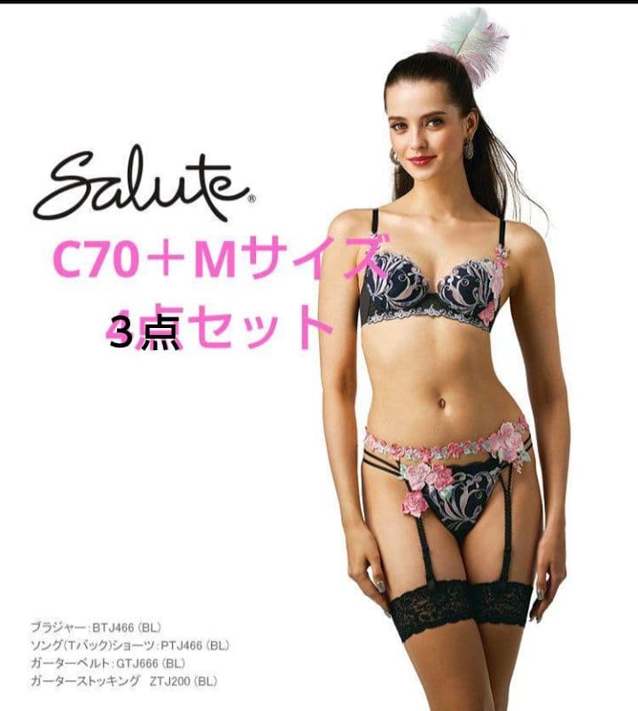 サルート66gリオのカーニバル☆C70＋Mサイズ３点セット