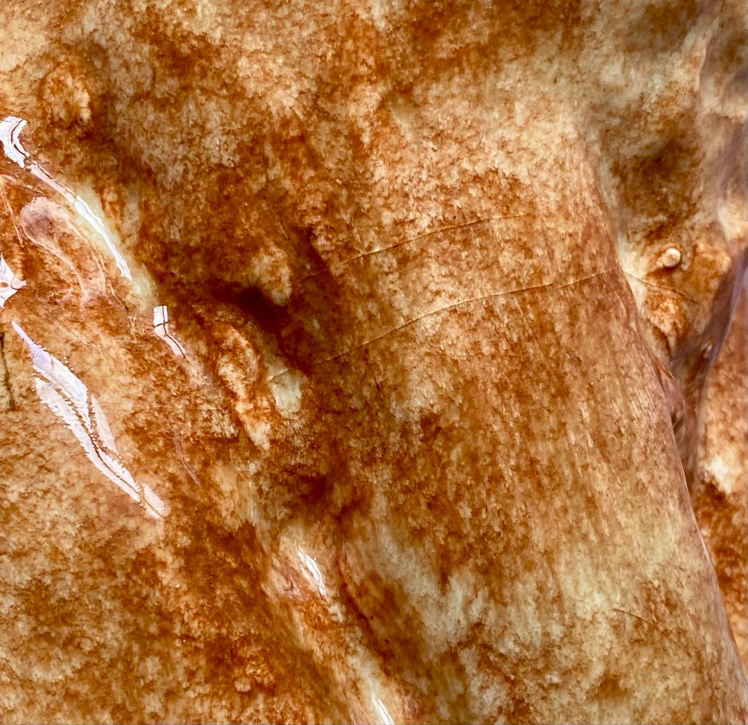 モデルNo.53　ウィンスタンレイキャット サックス5thアベニュー　長毛猫