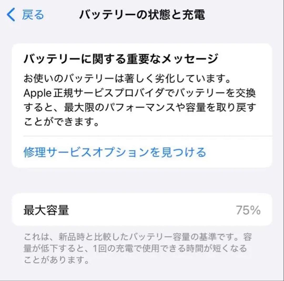 iPhone 14 Pro シルバー 256GB