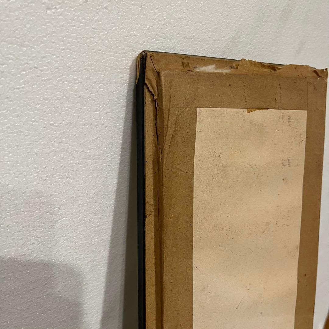 昭和レトロ 節足動物標本 額装 ムカデ クモ サソリ