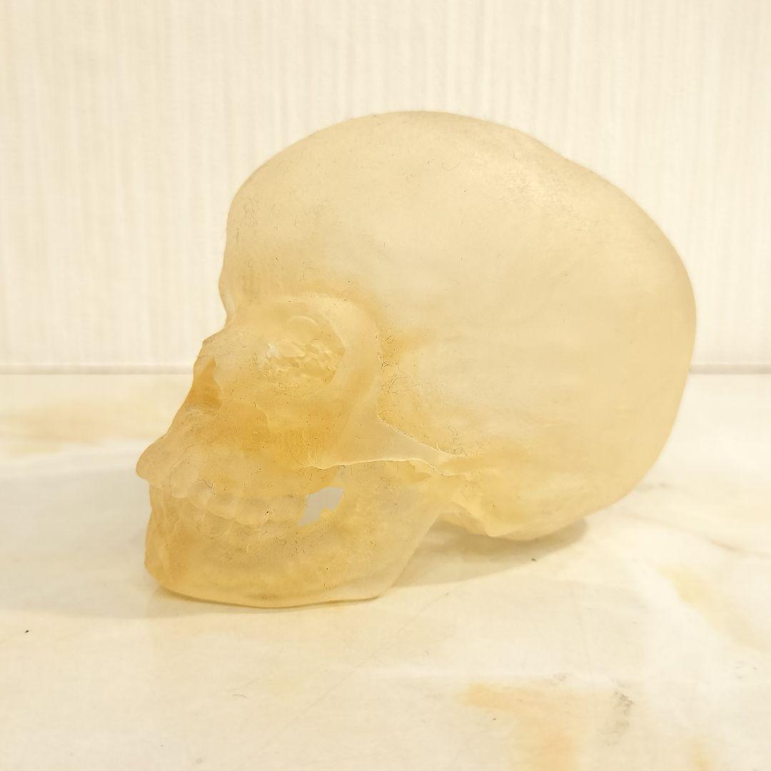 骸骨 置物 オブジェ