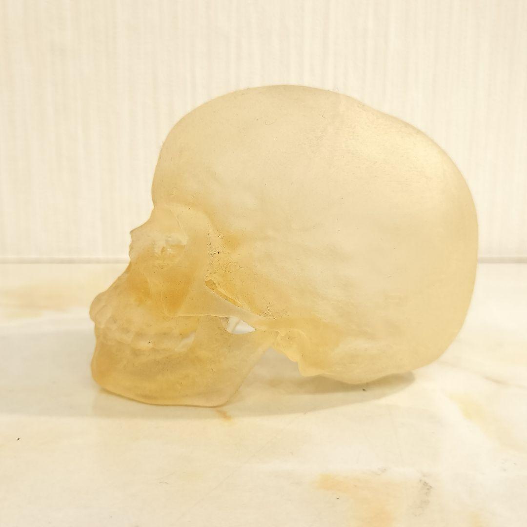 骸骨 置物 オブジェ