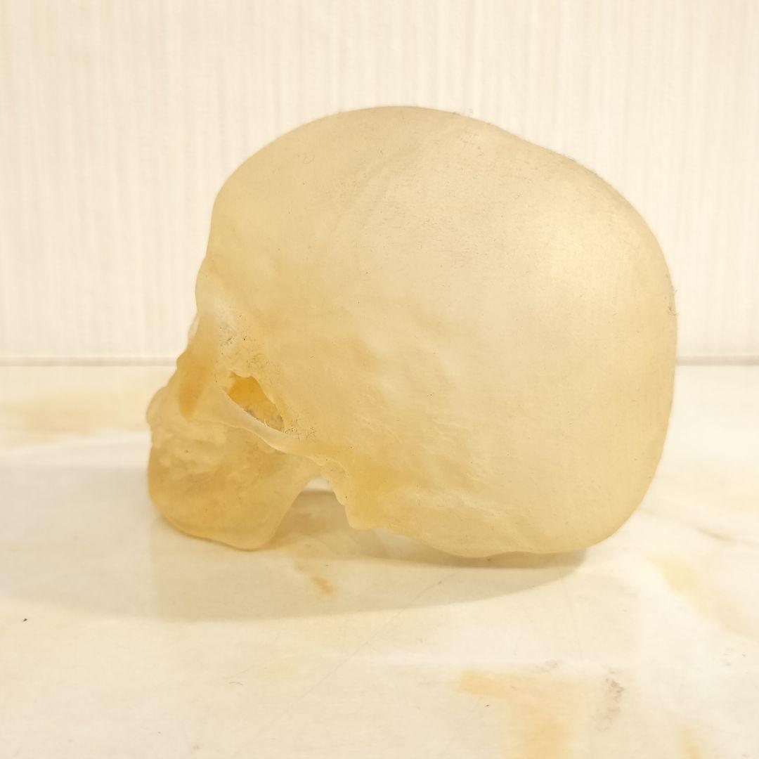 骸骨 置物 オブジェ
