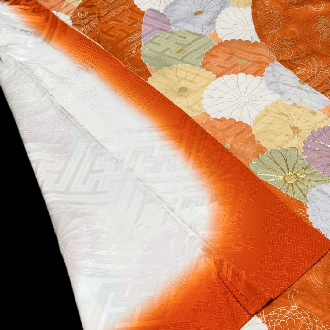 振袖５点セット　セミアンティーク　菊模様　西陣織袋帯　成人式　161.5cm位迄