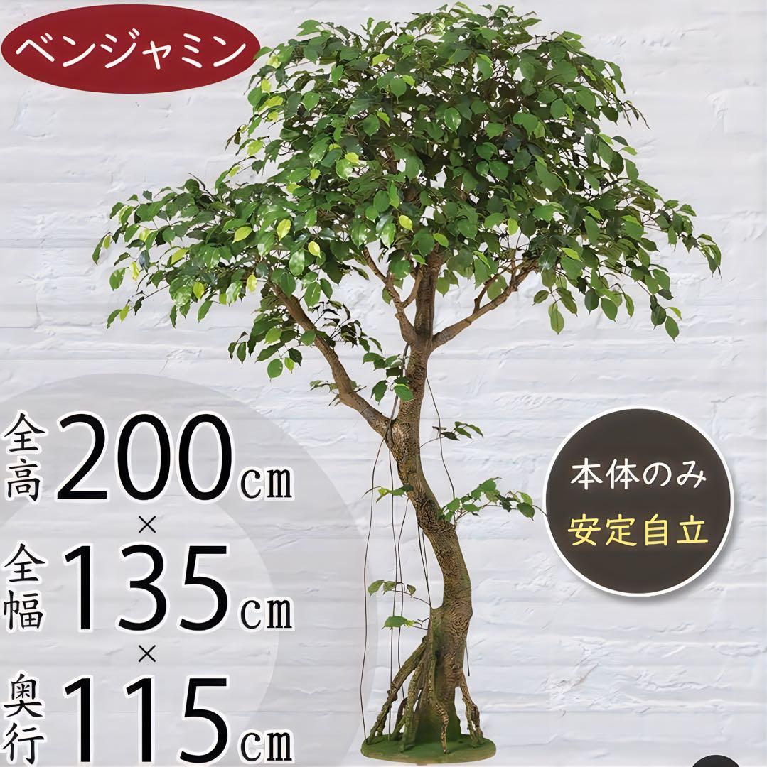 光触媒　人工観葉植物　フェイクグリーン　フィカスベンジャミナコアッド