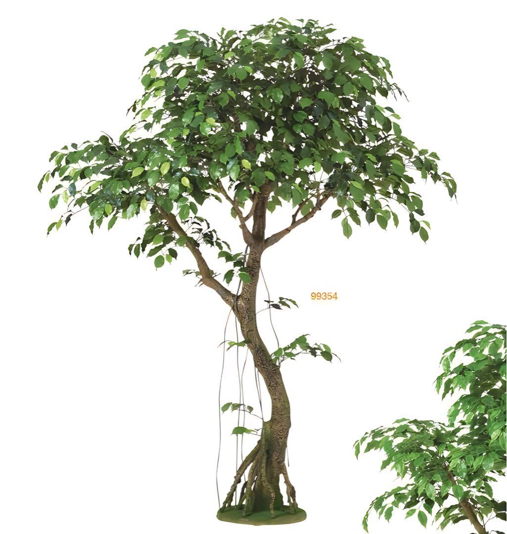 光触媒　人工観葉植物　フェイクグリーン　フィカスベンジャミナコアッド