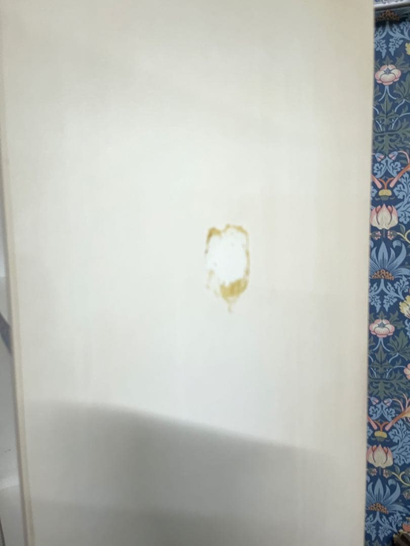 レトロポップ 棚 昭和レトロ 当時物 緑 グリーン 家具 インテリア