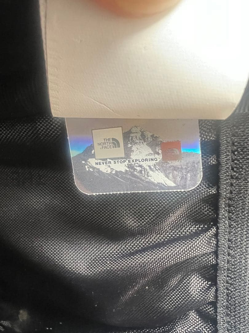 SUPREME×THE NORTH FACE 20AW グリーン