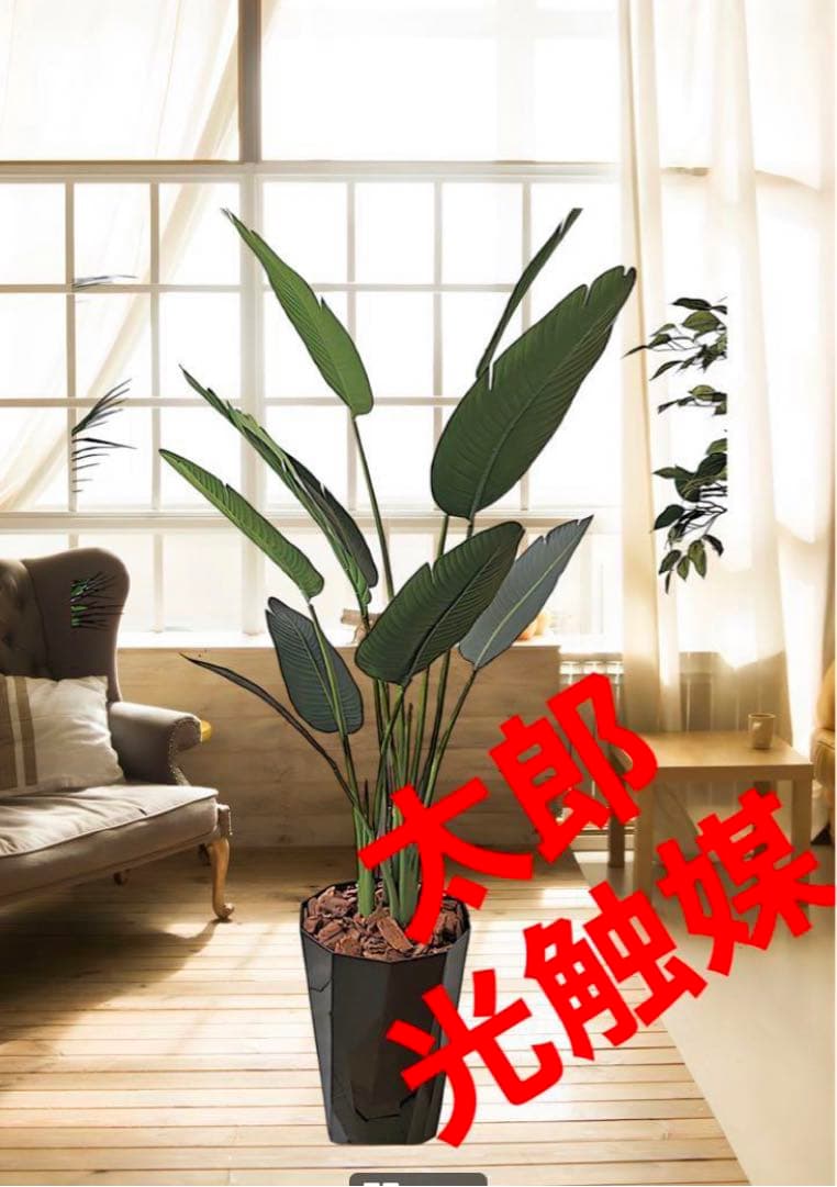 光触媒　人工観葉植物　ウォールグリーン　フェイクグリーン　オーガスタ160