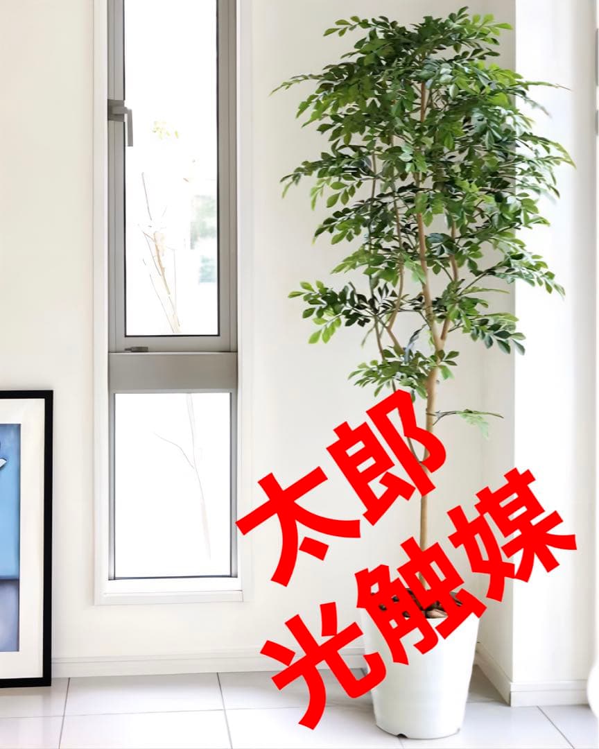 光触媒　人工観葉植物　ウォールグリーン　フェイクグリーン　トネリコ高さ1.8m