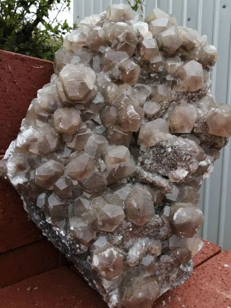 カルサイト10kg ーtot024