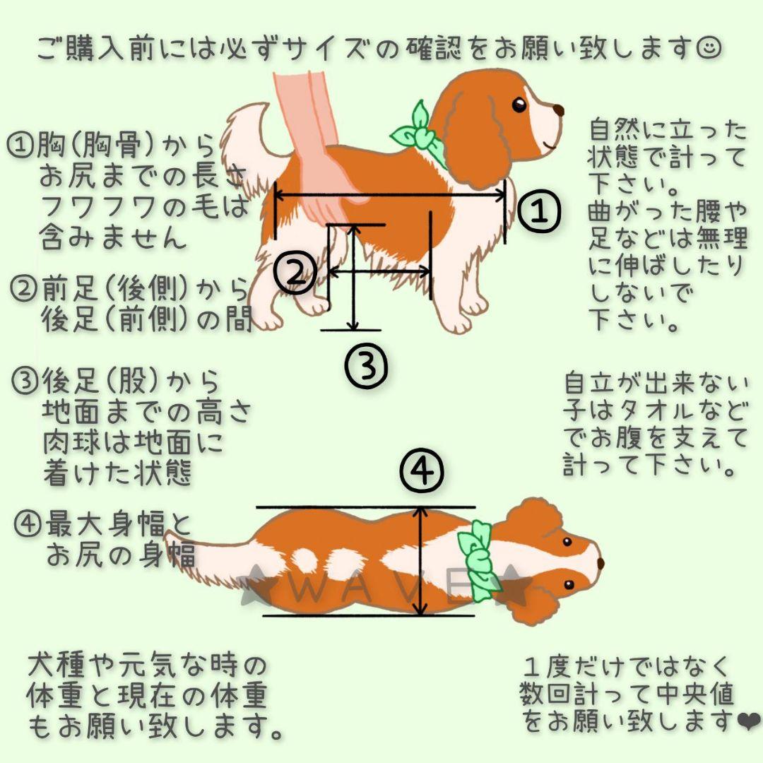 でこちゃん　犬用車椅子　犬の歩行器　チワワ　犬の車いす　歩行補助　サポート