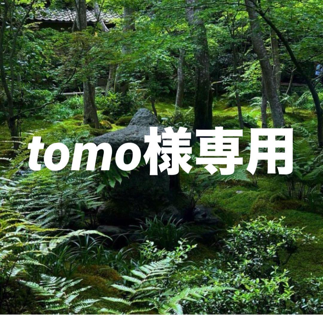 tomo 波佐見 焼割草花うさぎ紋 雪輪小付