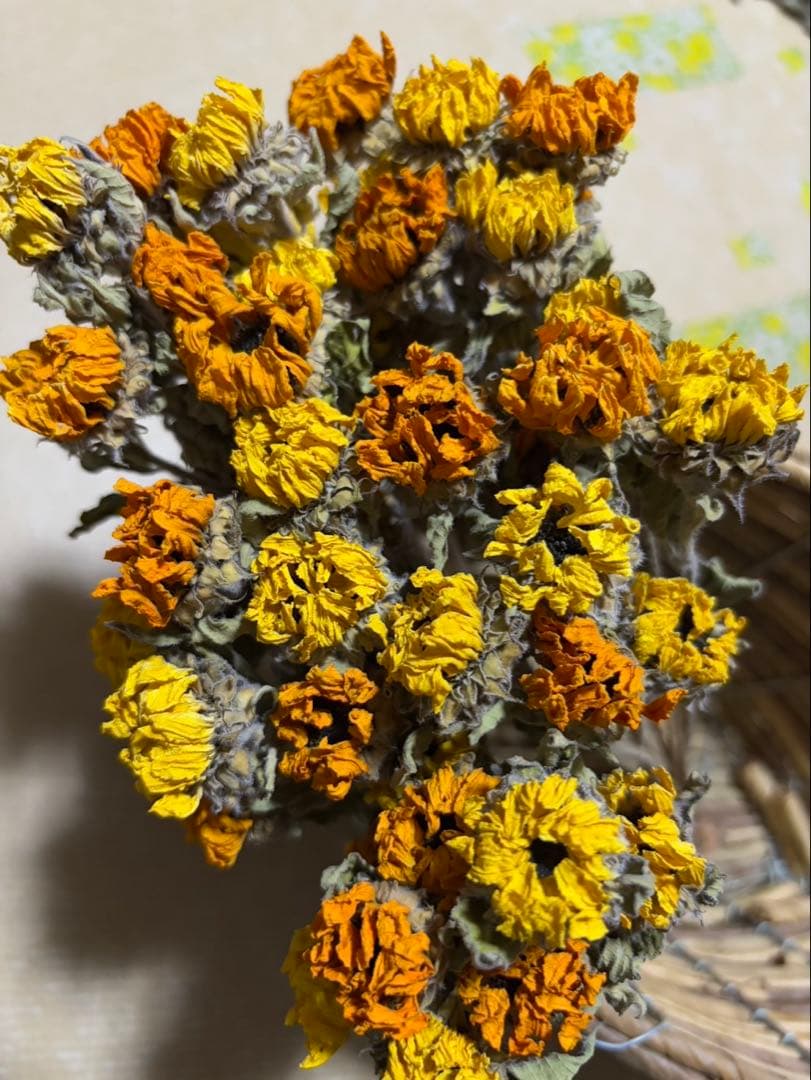 ドライフラワー 小さなひまわり