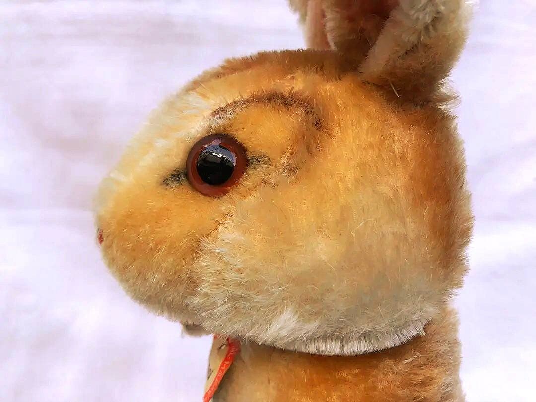 Steiff 　ウサギのManni