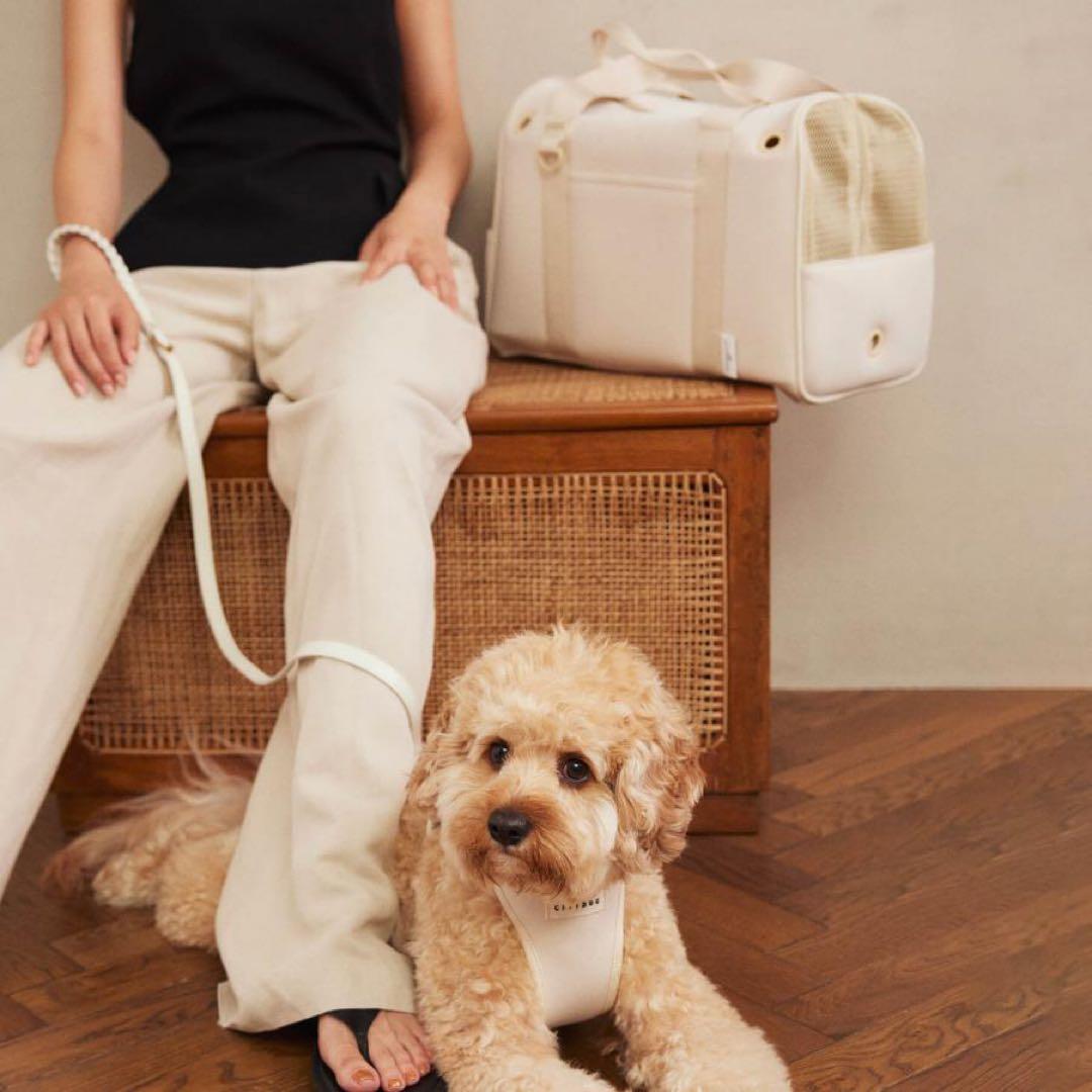 【定価1.7万】シティドッグ　キャリーバッグ　オフホワイト　モンシェリ