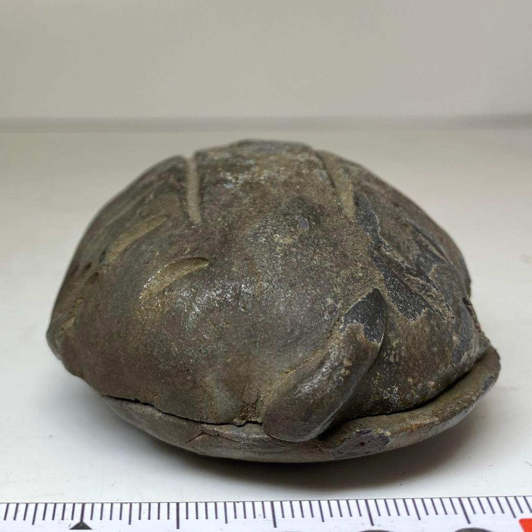 古備前 亀形香合 共箱 h4cm 東キ8-0121☆2F