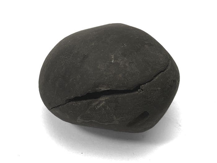 【超希少な太古の石】レアストーン★シャリグラムの原石☆一点物限定☆NO.12