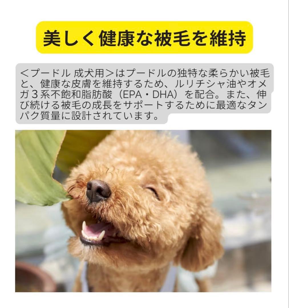  CANIN プードル 7.5kg x1