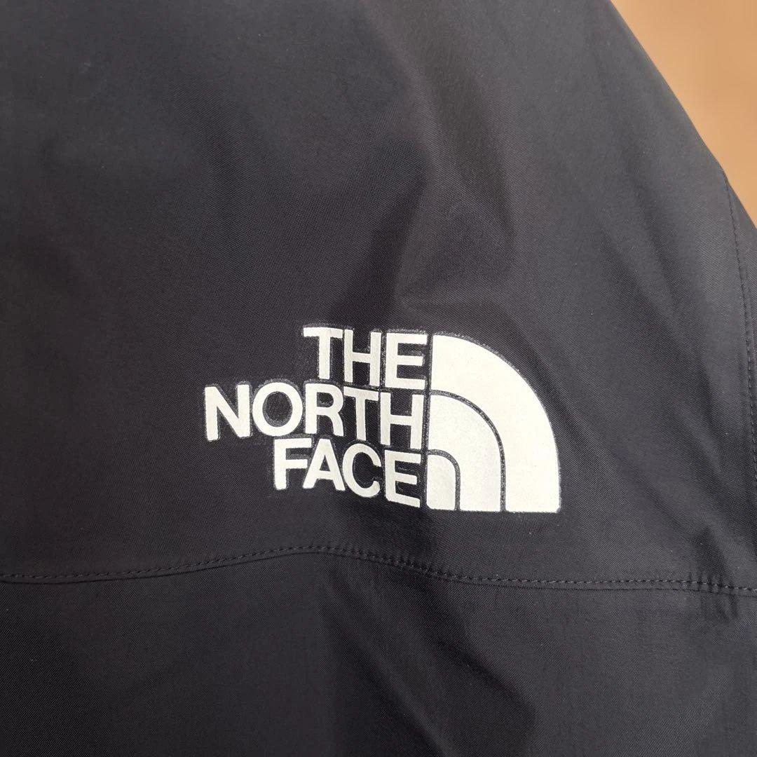 THE NORTH FACE マウンテン レインテックス ジャケット Lサイズ