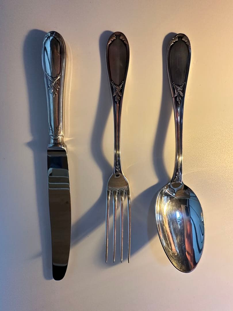 Ercuis ステンレススチール カトラリーセット