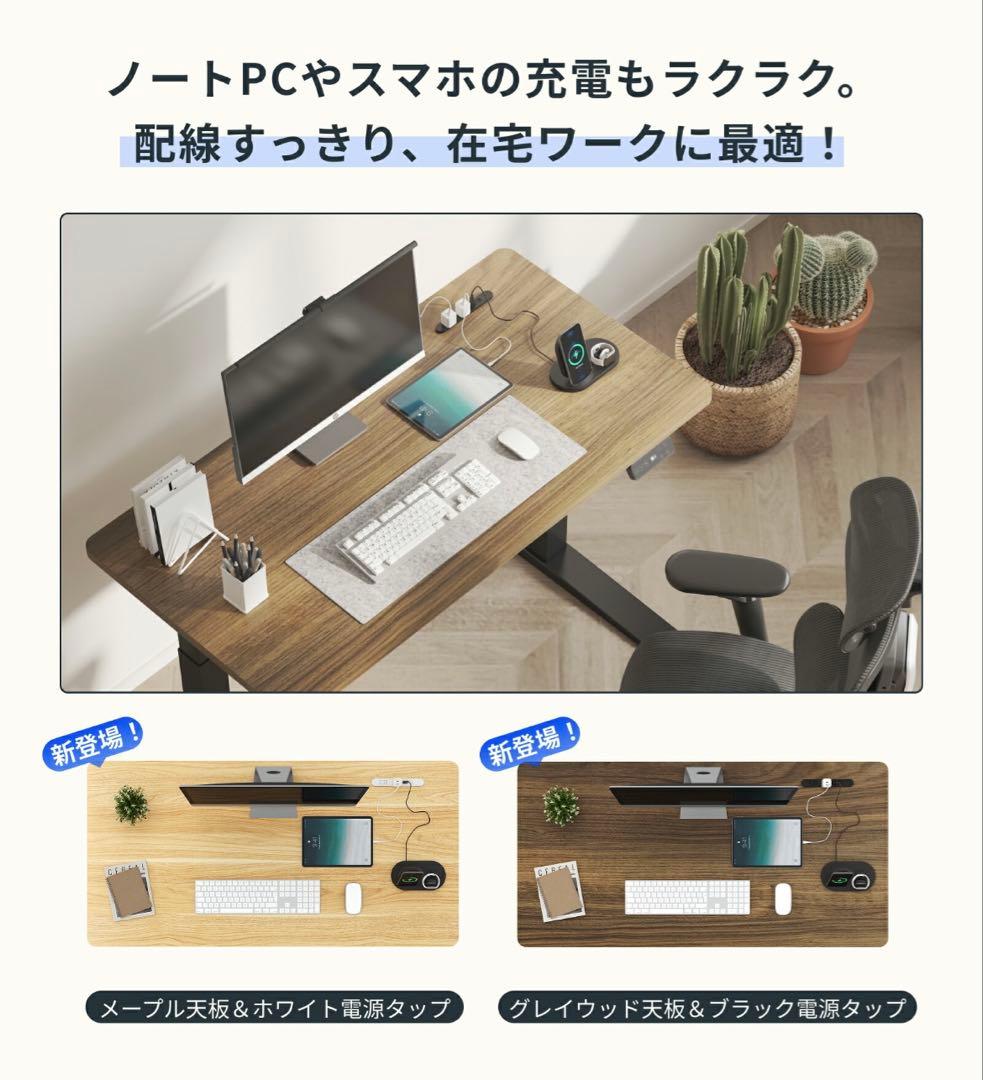 フレキシスポット Flexispot EF1 ホワイト
