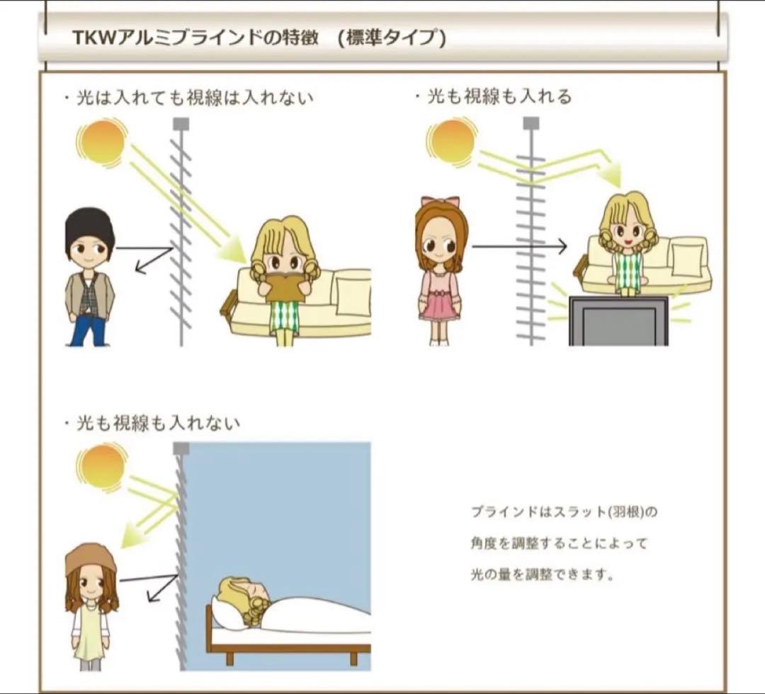 タチカワブラインド 幅224cm 丈201cm