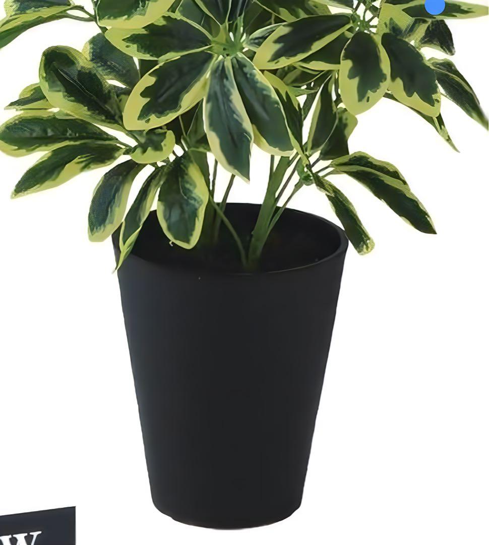 光触媒　人工観葉植物　ウォールグリーン　フェイクグリーン　イエローカポックM