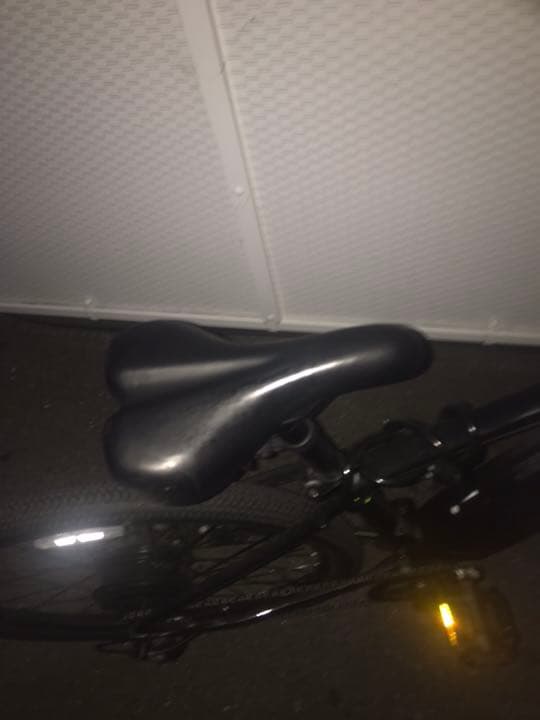 電動チャリ