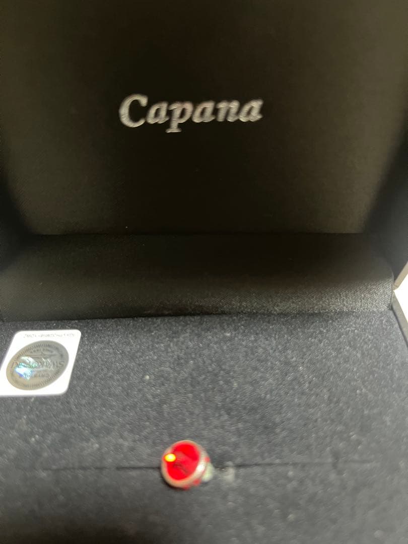 Capana 赤色 片耳用ピアス手越祐也