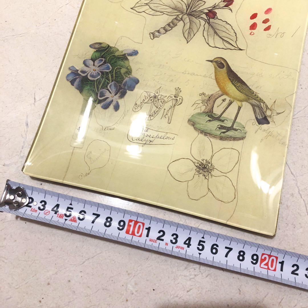 ラージサイズ　ジョンデリアン　デコパージュトレイ　フラワーバード