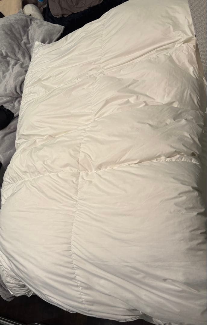 ニトリ　N-sleep luxury Down 羽毛掛ふとん ダブル