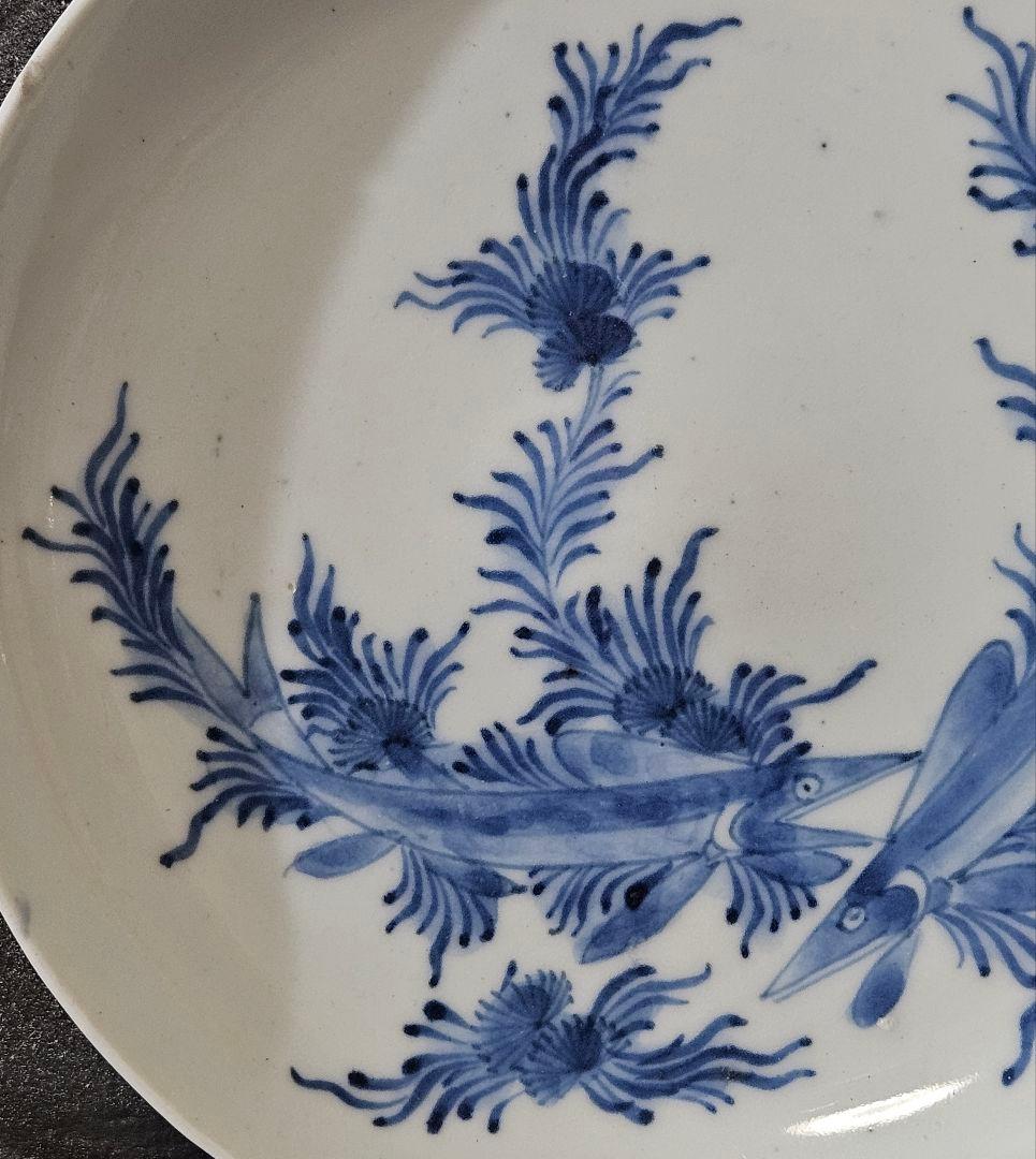 【名品❗】江戸時代前期〜中期　藍九谷様式 鮎の図　16.8cm皿　皿裏　唐草文様