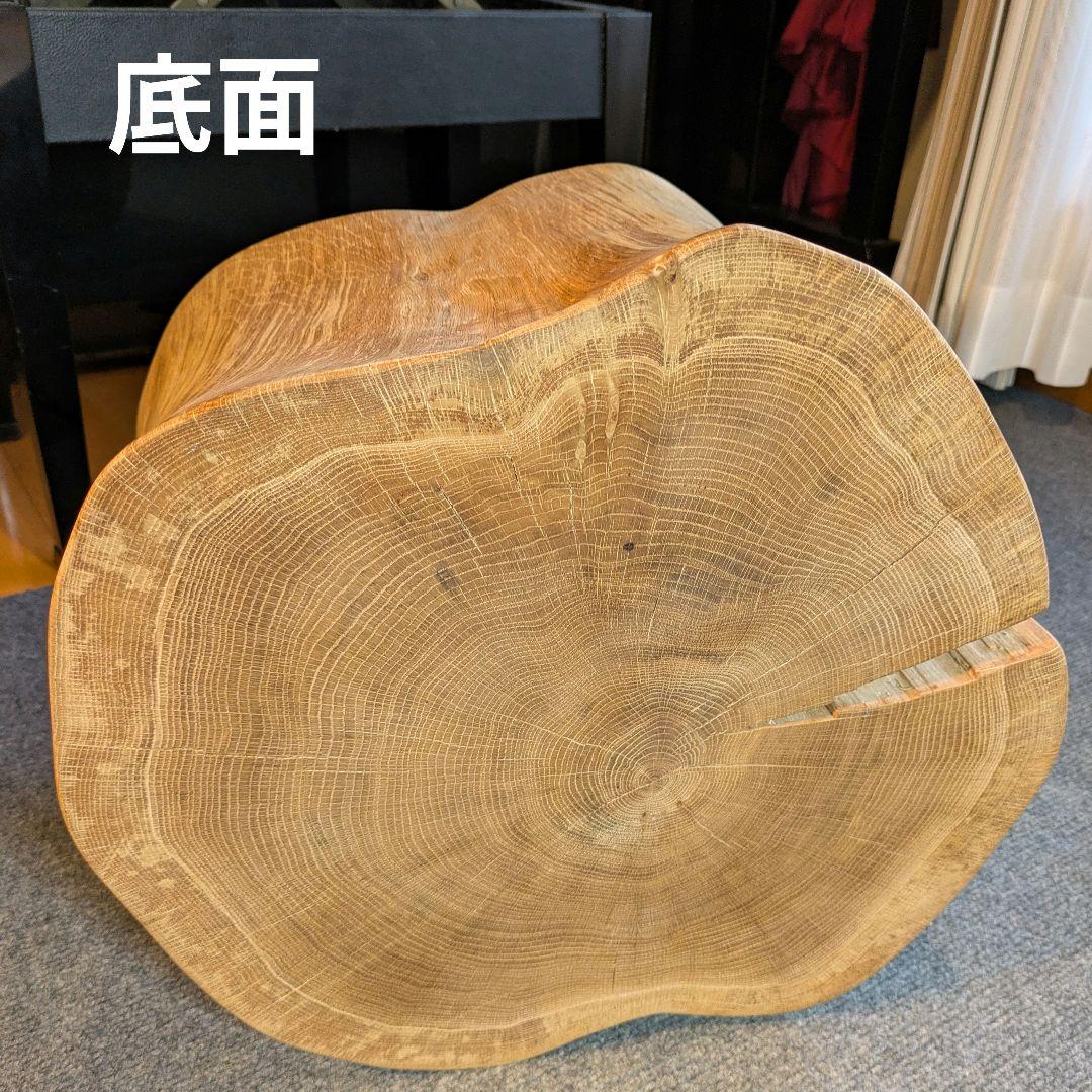 3104　　ミズナラ　水楢　天然木　切り株　丸太　輪切り　高さ約28㎝