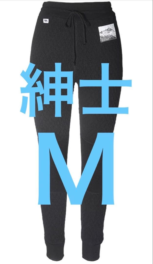 【新品未使用】ひだまり肌着 エベレストプロ 紳士タイツ ブラック サイズＭ