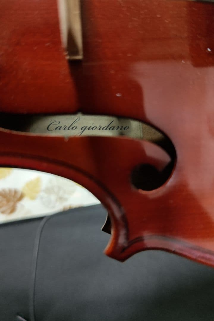 carlo giordano vs-1 4/4　セット