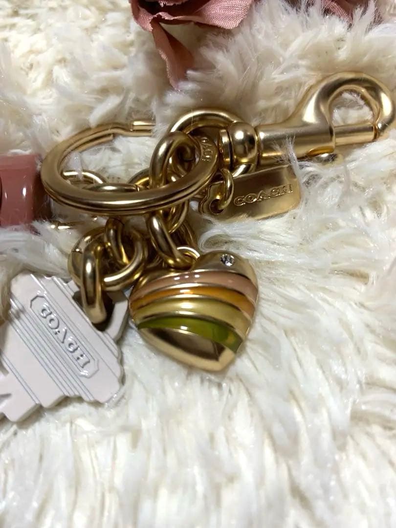 COACH ピンク ストライプ チャーム キーホルダー