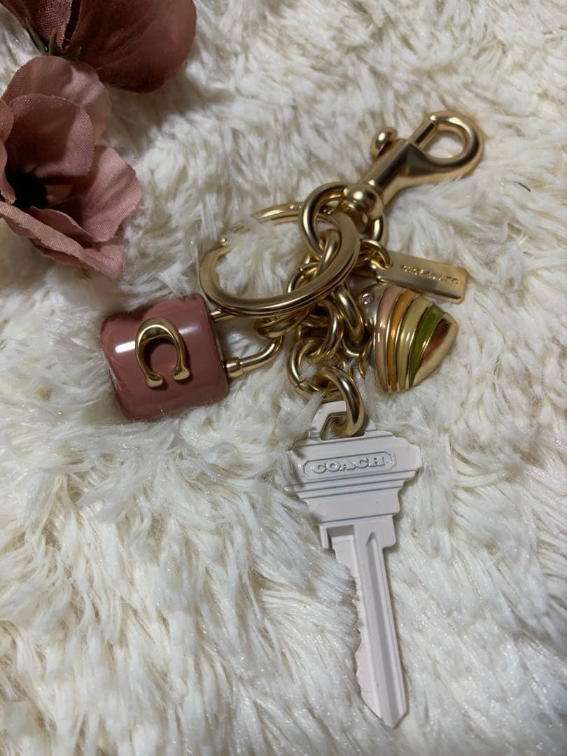 COACH ピンク ストライプ チャーム キーホルダー