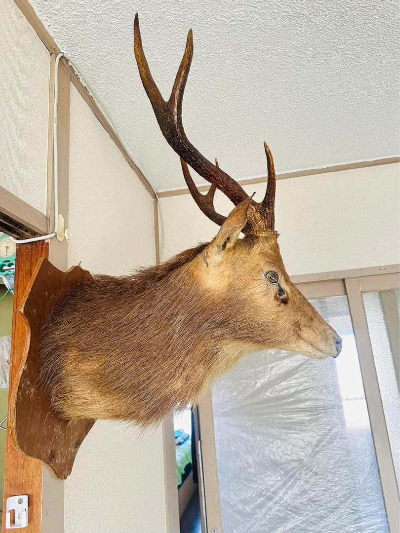 鹿のオブジェ