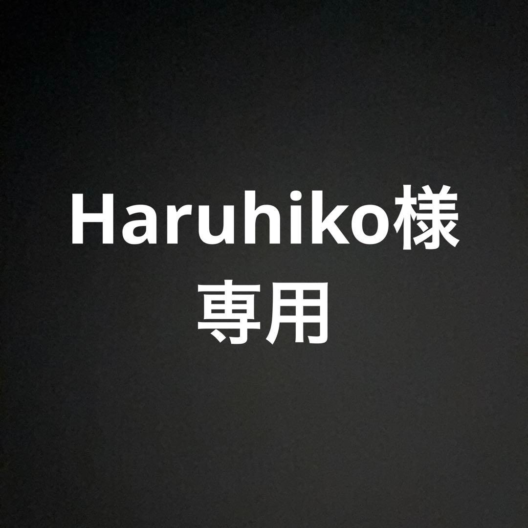 Carhartt デトロイトジャケット　企業ロゴ