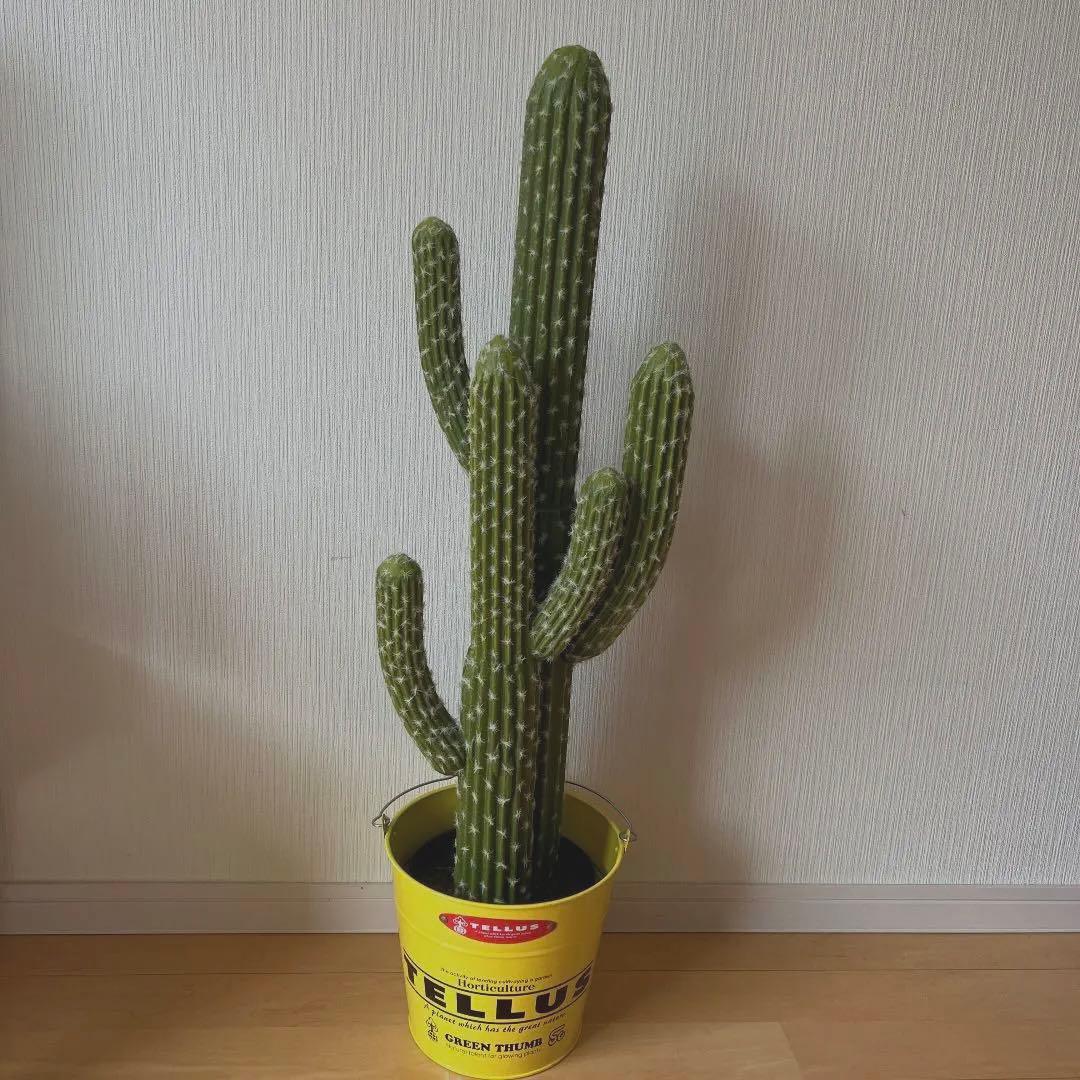 サボテン　フェイク観葉植物　海　夏　インテリア雑貨　お洒落グリーン　西海岸